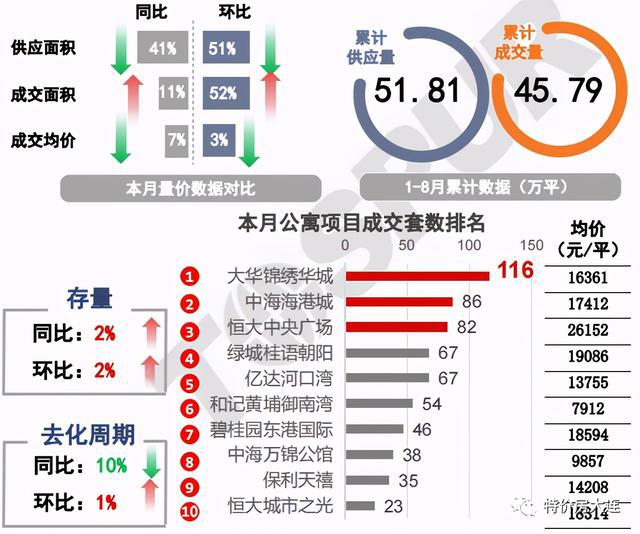 最新陽光探碼圖，揭示數(shù)字世界的新視角