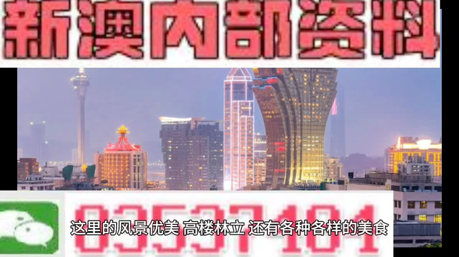 新澳精準(zhǔn)資料免費(fèi)提供，探索與啟示