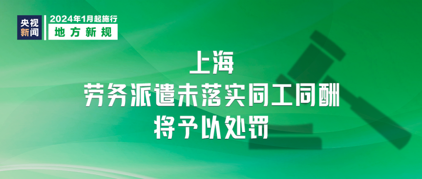 探索與分享，2024正版資料大全的免費資源世界