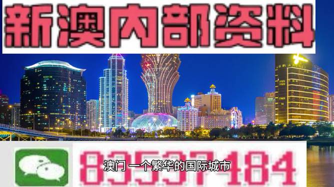 新澳內(nèi)部資料精準大全，深度解析與洞察