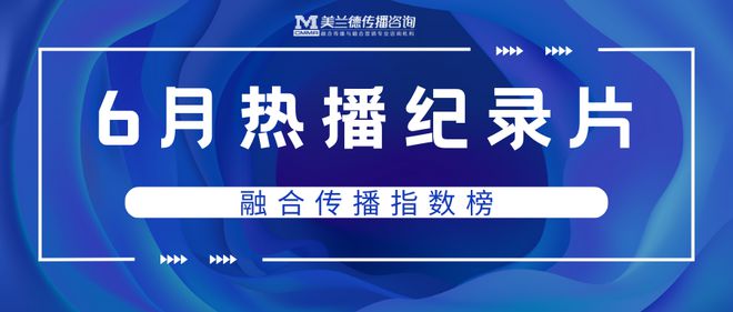 管家婆一肖一馬一中一特，揭秘神秘命運(yùn)之輪下的故事