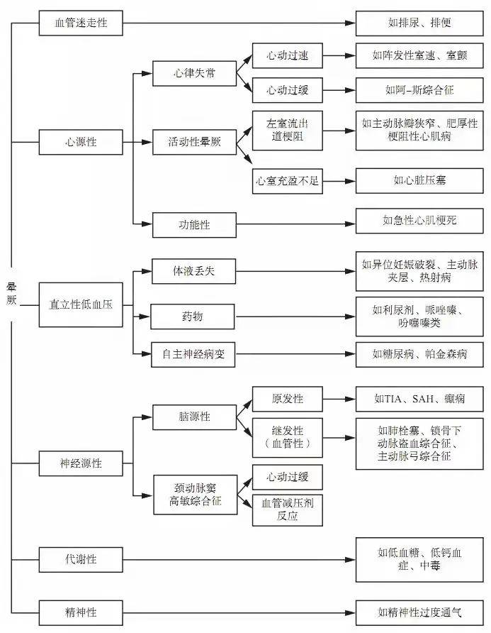 澳門100%最準一肖，探索背后的神秘與魅力