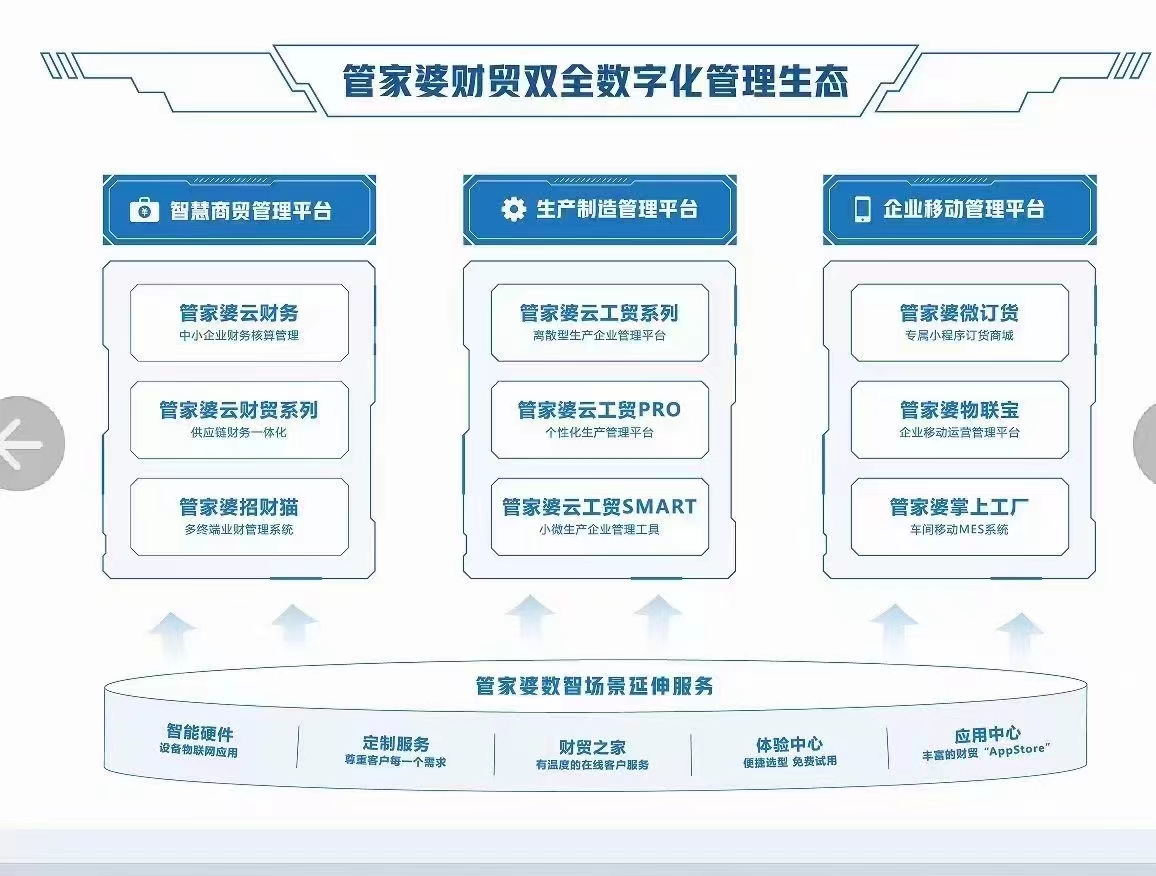 未來(lái)的管家婆，2024年管家婆100的崛起