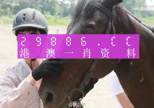 今晚澳門最準(zhǔn)一肖一碼，警惕背后的風(fēng)險與挑戰(zhàn)