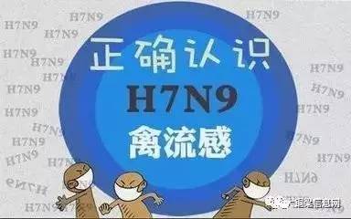 香港H7N9最新消息2017，流感監(jiān)測與防控進展